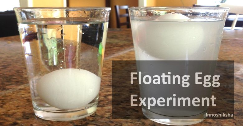 Floating Egg Experiment Kidpid