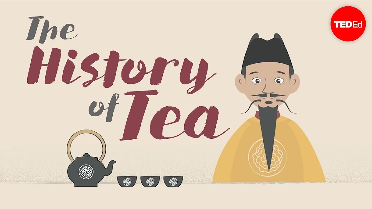 who discovered tea