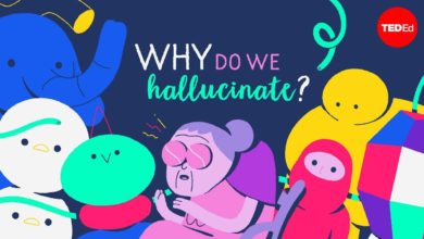 hallucination meaning