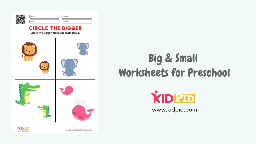 Printable – Finding Big and Small Objects -Worksheet-Exercise 3