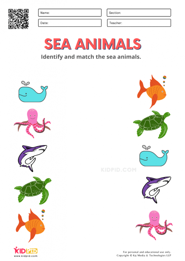 sea animals worksheets for kindergarten kidpid