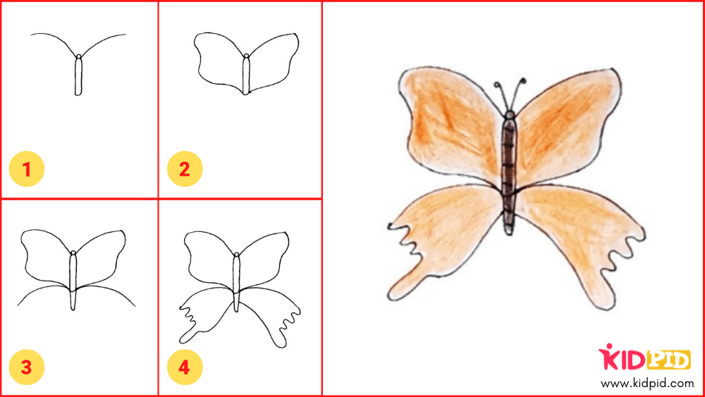 Easy Way To Draw A Butterfly for Kids Kidpid
