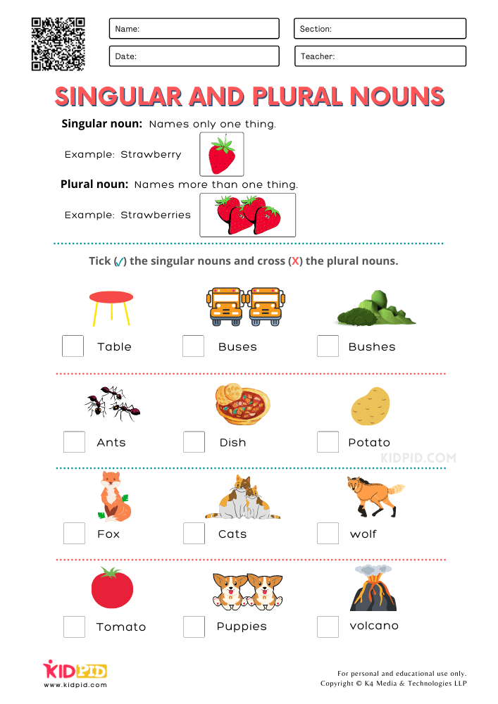Singular And Plural Nouns Worksheets Grade 1 With Pictures