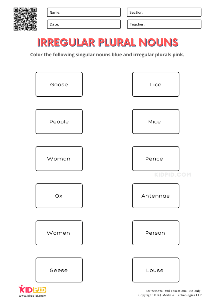 Plural Of Irregular Nouns Worksheets