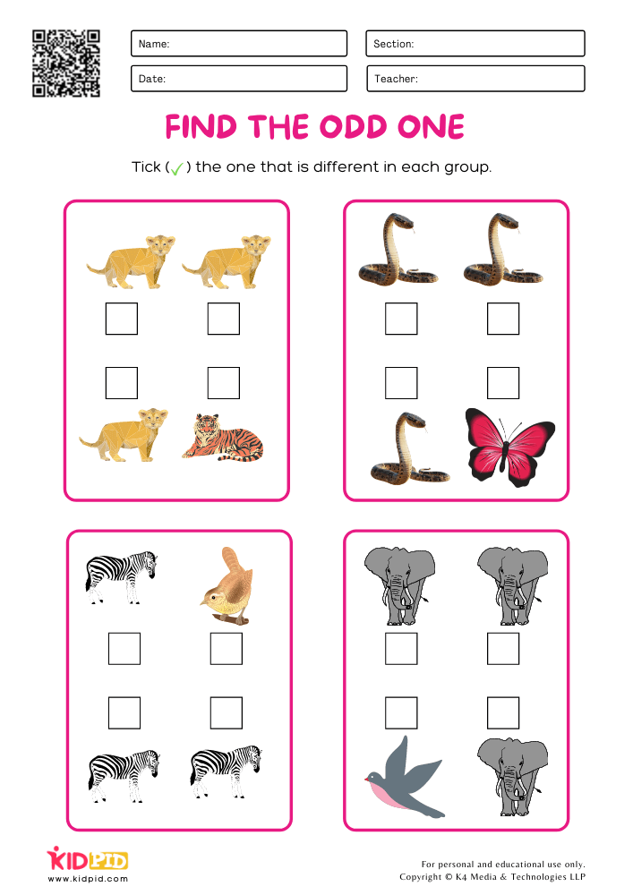 Find the different Printable Worksheets for Kindergarten