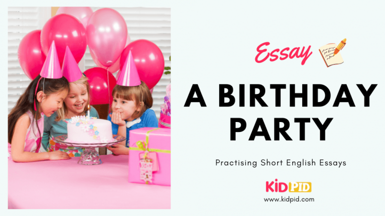 essay about the birthday party