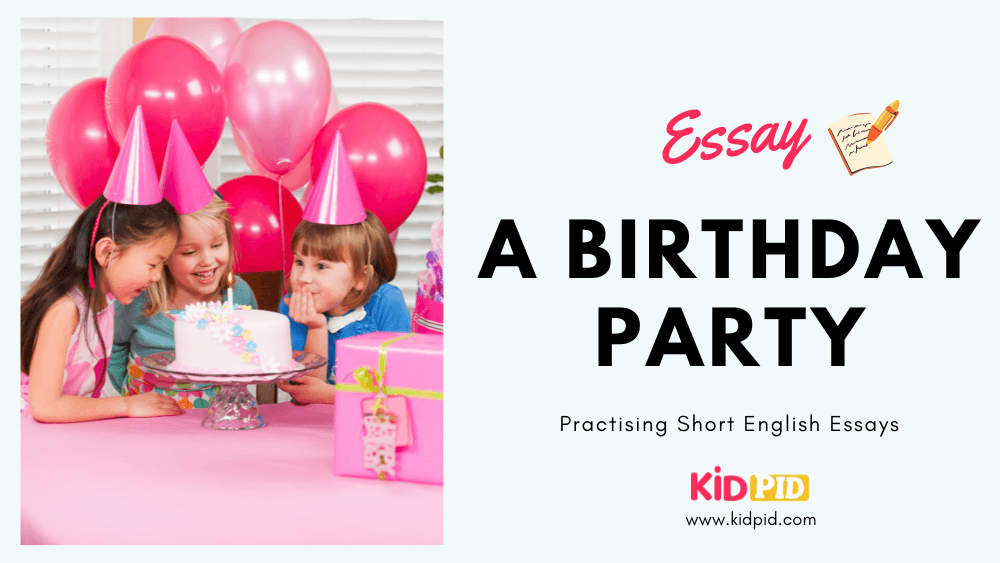 the birthday party essay questions