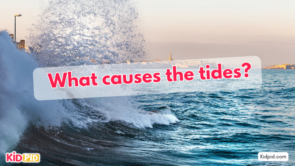 What causes the tides
