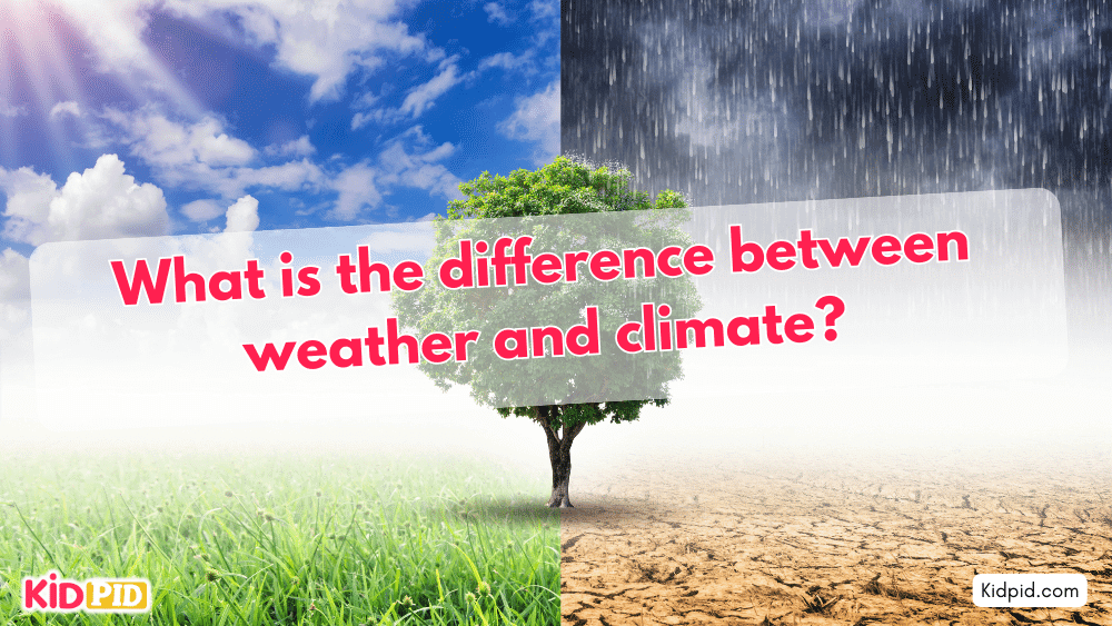 What is the difference between weather and climate