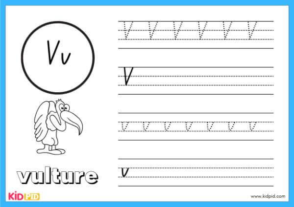 Trace V - Alphabet Animals Handwriting Book
