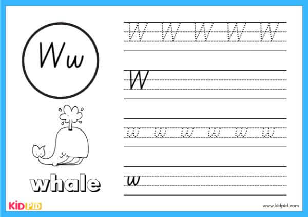 Trace W - Alphabet Animals Handwriting Book