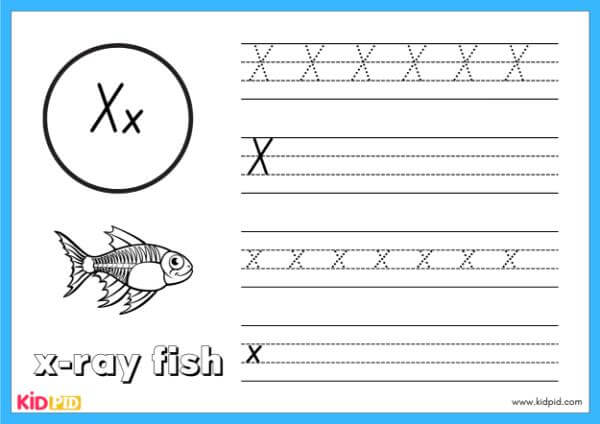 Trace X - Alphabet Animals Handwriting Book