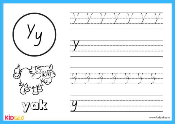 Trace Y - Alphabet Animals Handwriting Book