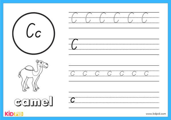Trace C - Alphabet Animals Handwriting Book