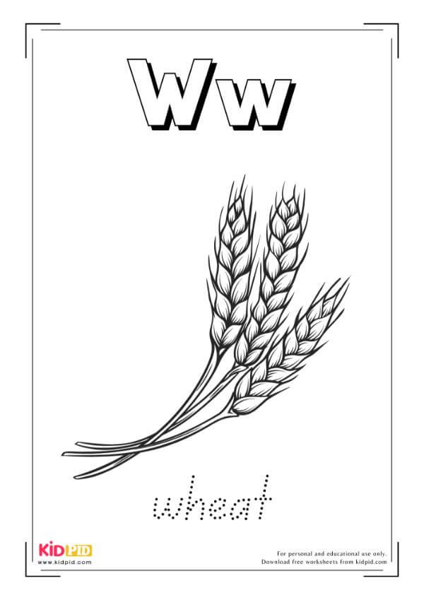 W For Wheat - Food Alphabet Coloring Book