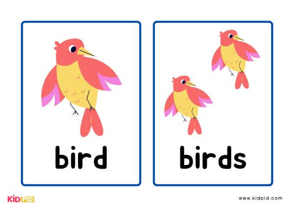 Singular and Plural Nouns Flashcards