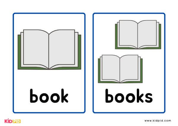 Singular and Plural Noun Of Book Flashcards