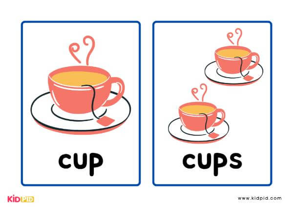 Singular and Plural Noun Of Cup Flashcards