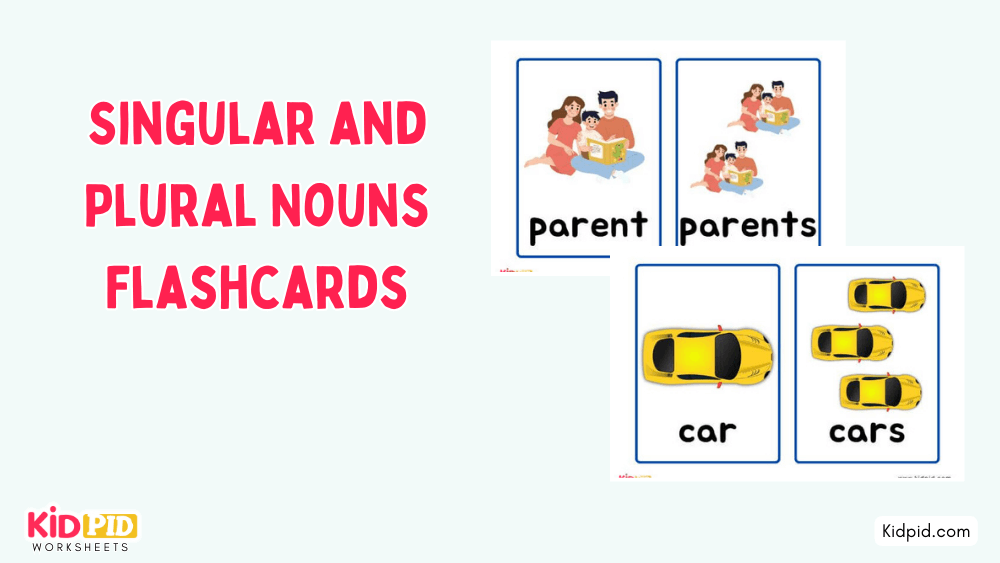 Singular and Plural Nouns Flashcards