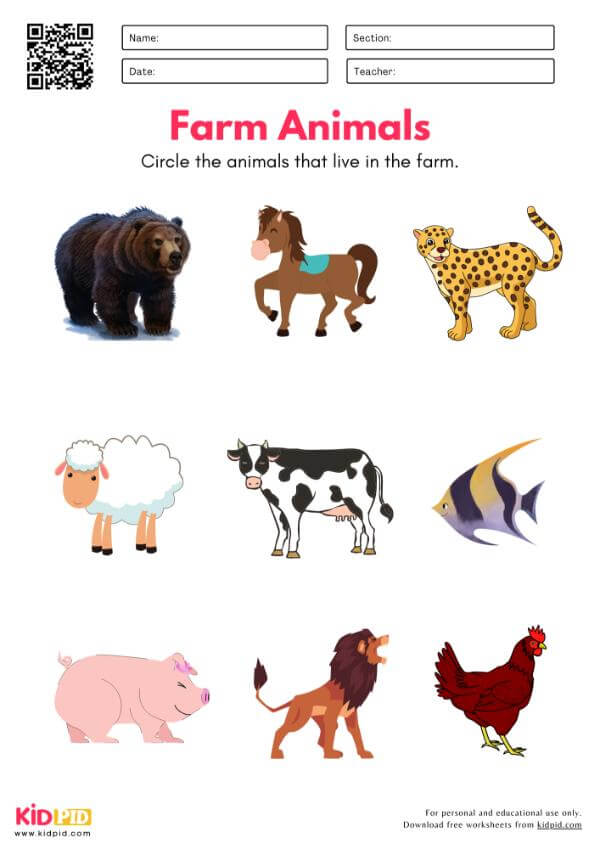 Identify Ocean Forest & Farm Animal Worksheet