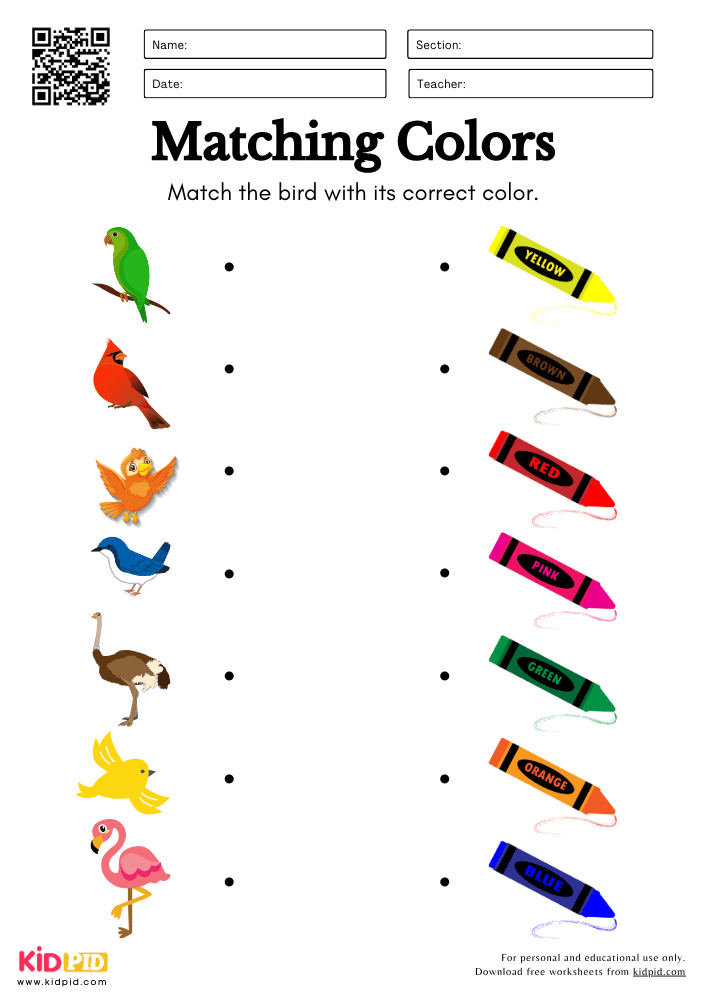 Match The Bird With Its Correct Color