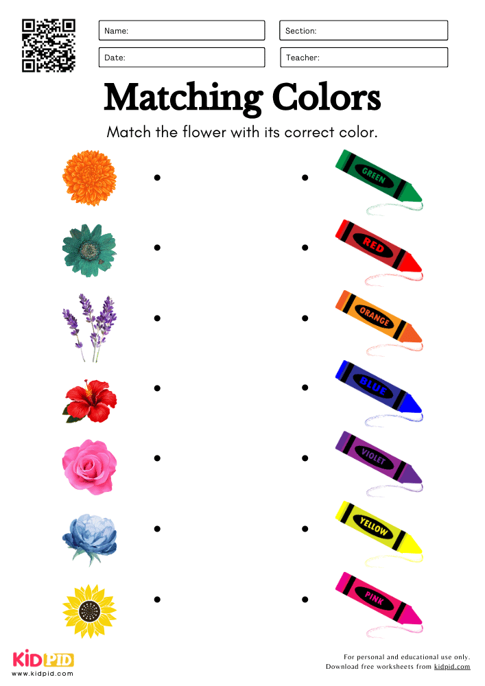 Match The Flower With its Correct Color