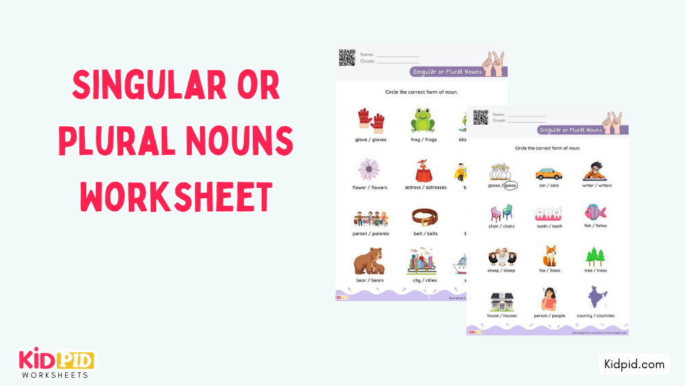 Singular or Plural Nouns Worksheet